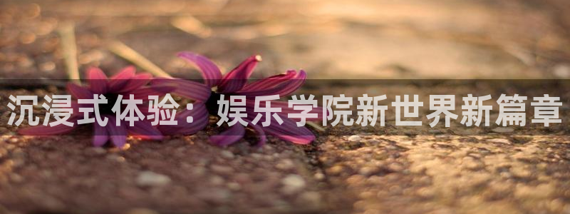 益达娱乐best：沉浸式体验：娱乐学院新世界新篇章