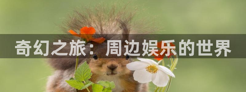 益达平台：奇幻之旅：周边娱乐的世界