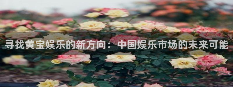益达娱乐在线登录入口官网：寻找黄宝娱乐的新方向：中国娱乐市场的未来可能