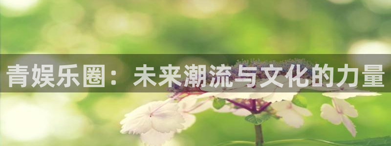 益达娱乐官网 q 益：青娱乐圈：未来潮流与文化的力量